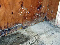 NYC Water Damage Repair